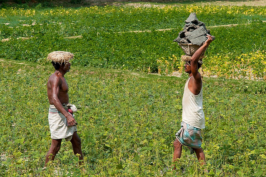 Ramgati - prace przy budowie domu (Bangladesz 2010 - część 2/2)